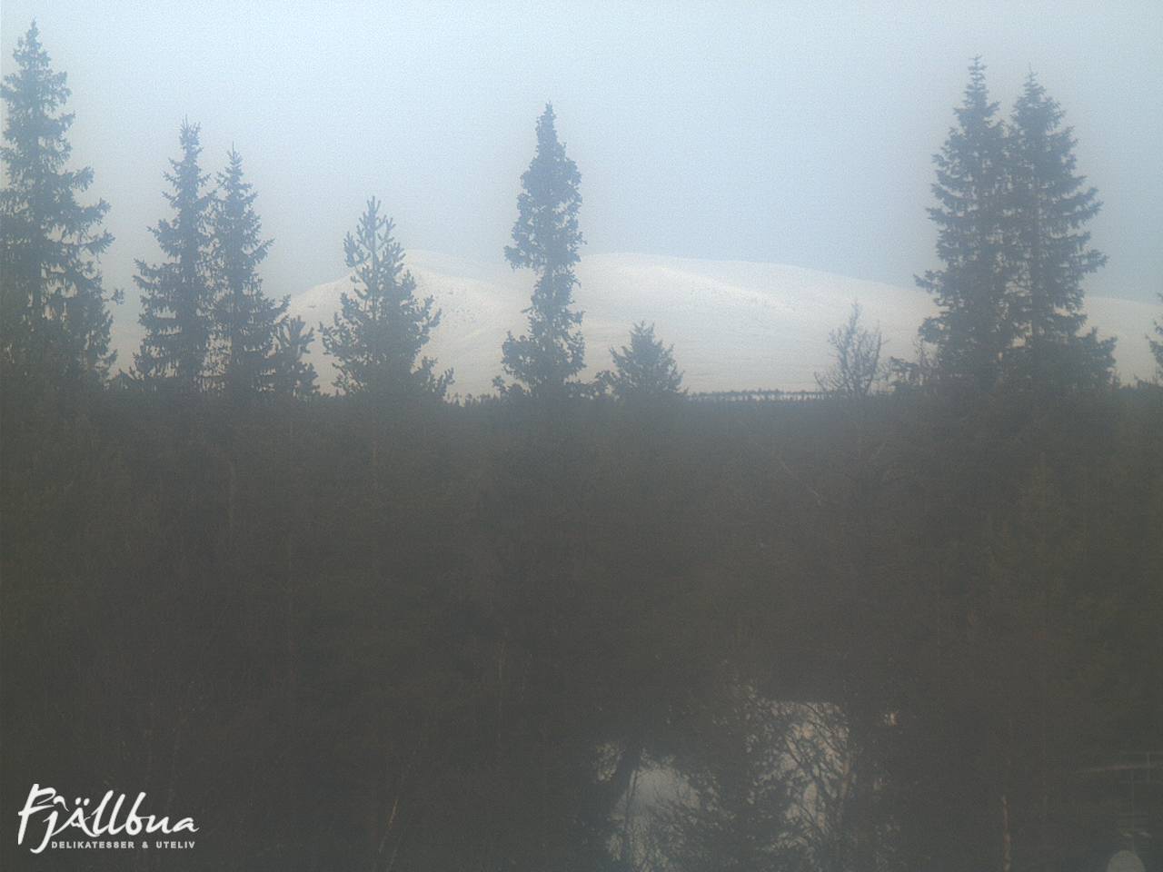 Fjällbua webcam 2025-02-26 10:30