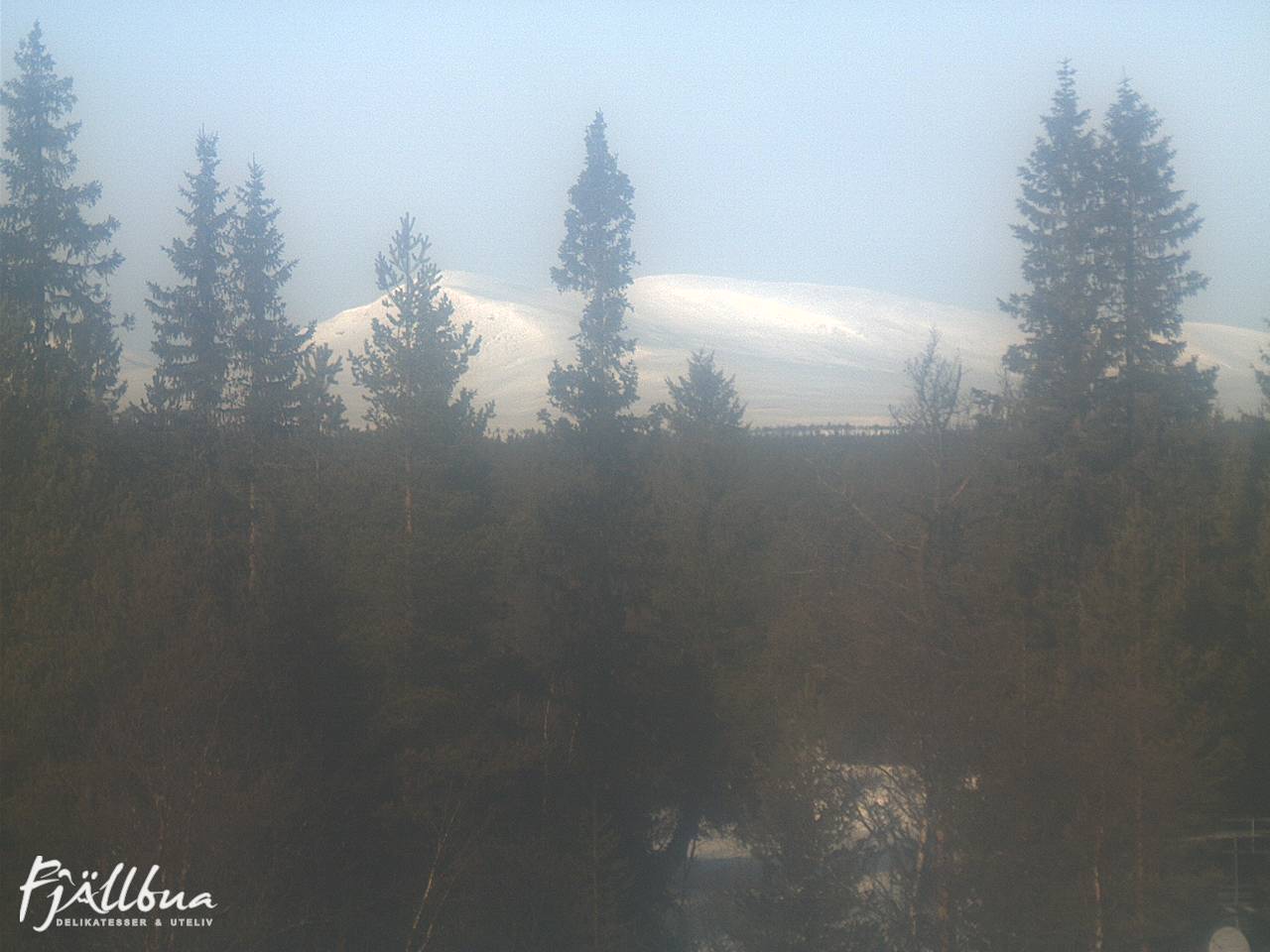 Fjällbua webcam 2025-02-26 11:30