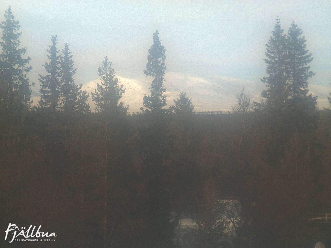 Fjällbua webcam 2025-02-26 13:30