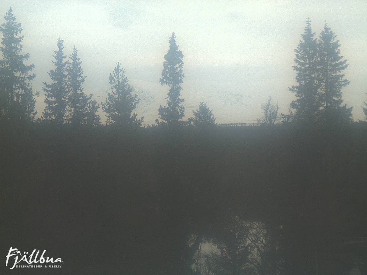 Fjällbua webcam 2025-03-01 09:00