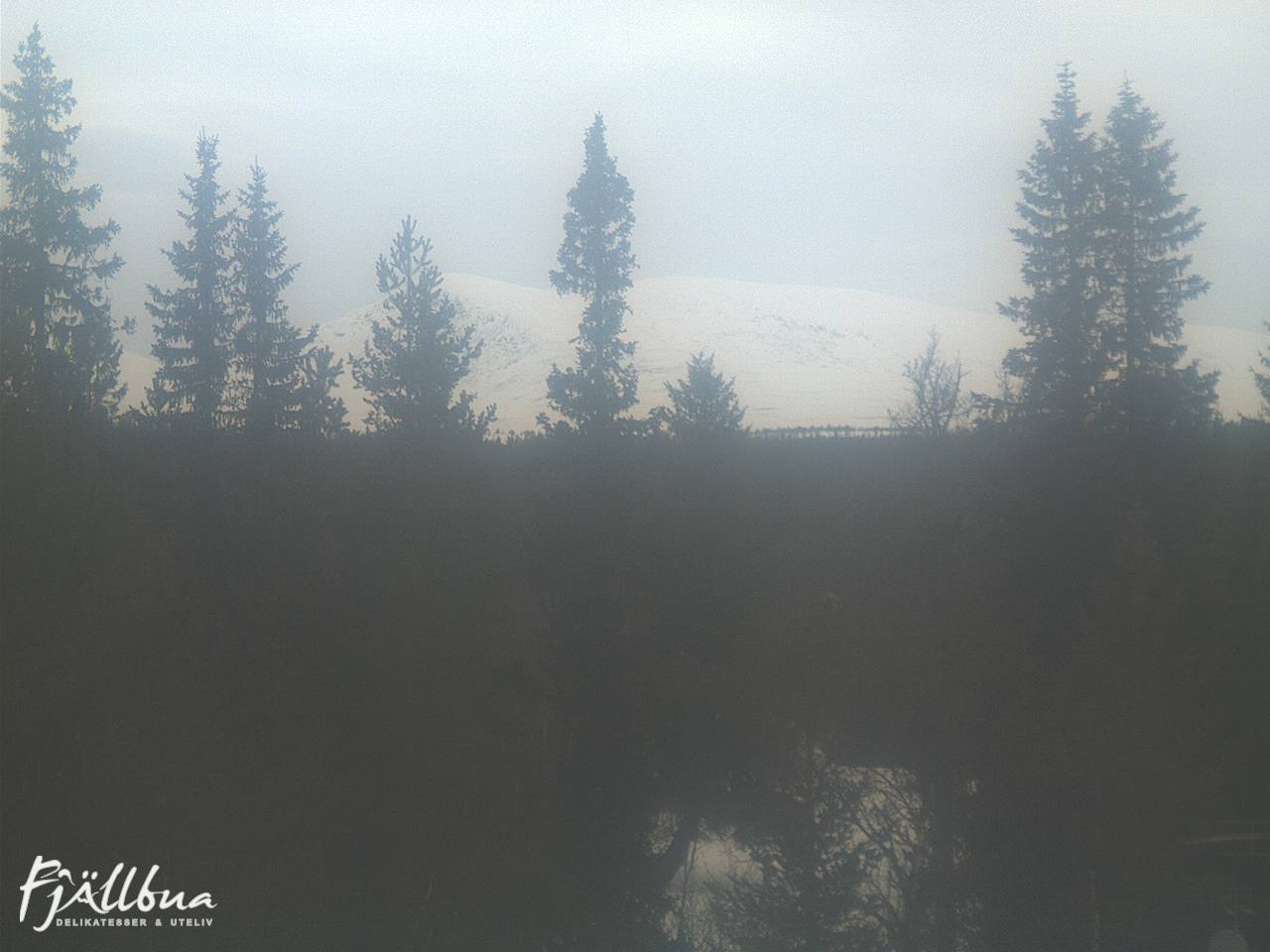 Fjällbua webcam 2025-03-01 09:30