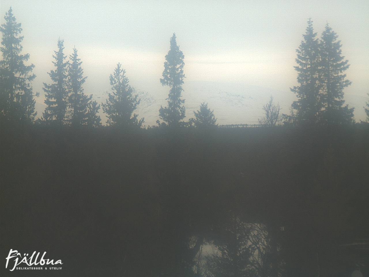 Fjällbua webcam 2025-03-01 11:30