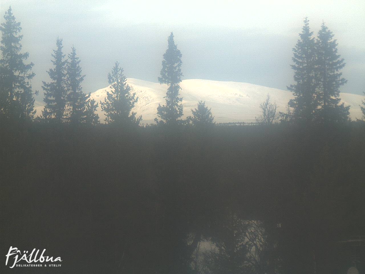 Fjällbua webcam 2025-03-01 13:00