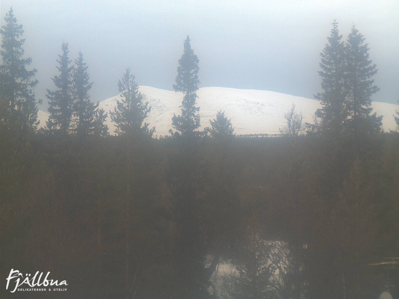 Fjällbua webcam 2025-03-01 13:30