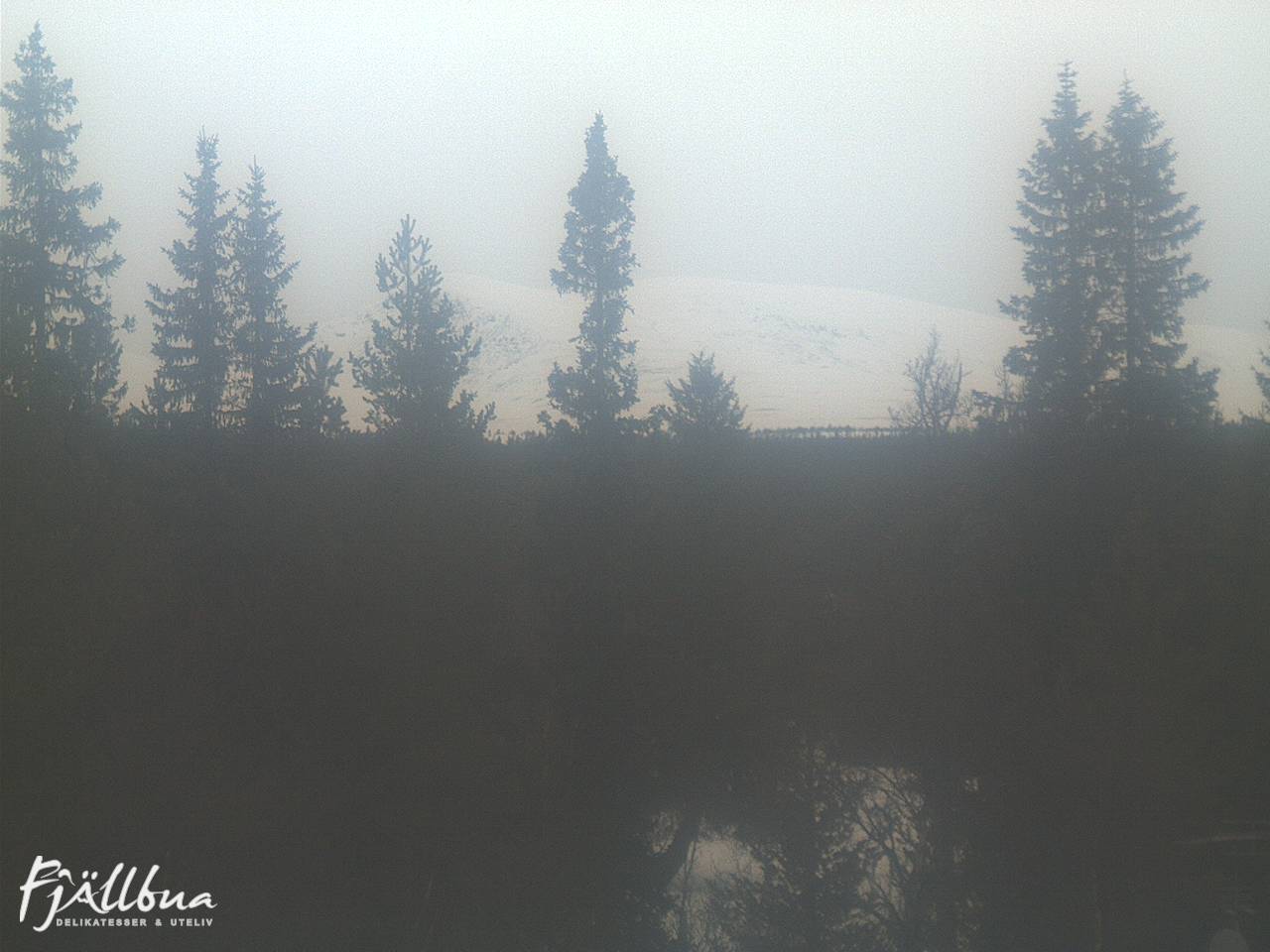 Fjällbua webcam 2025-03-01 14:30