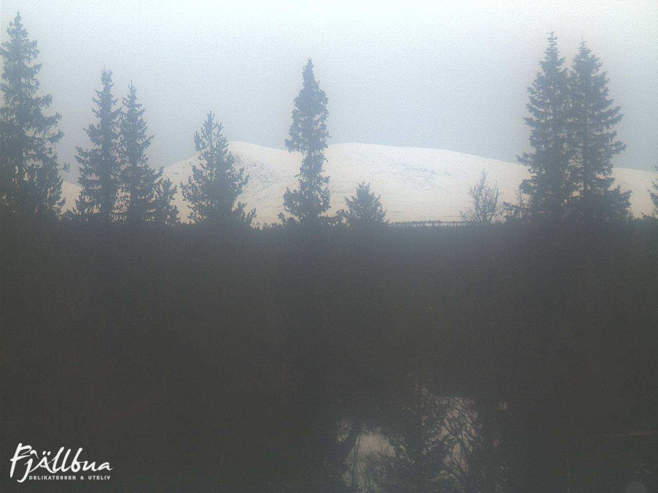 Fjällbua webcam 2025-03-01 15:30