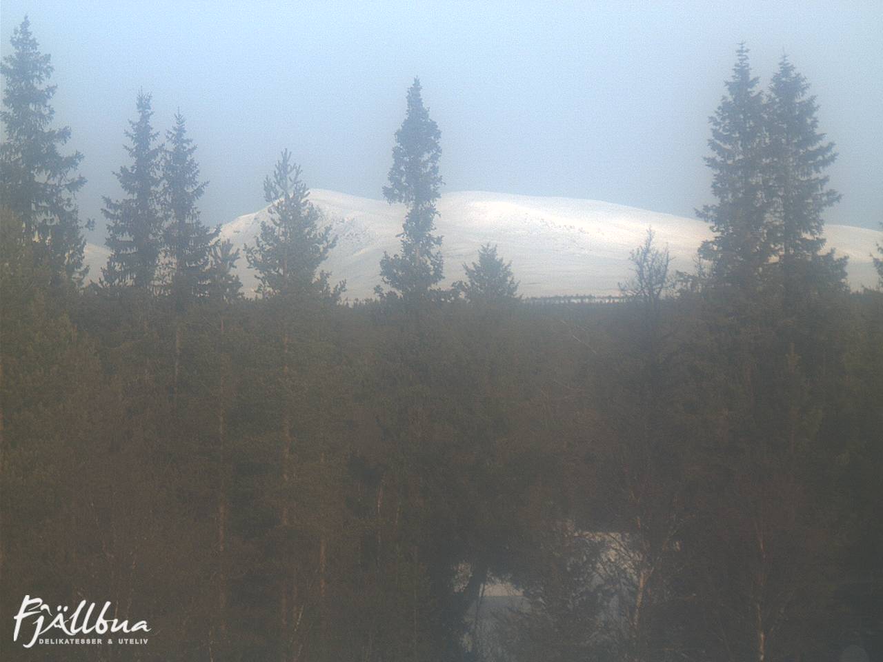 Fjällbua webcam 2025-03-02 09:00