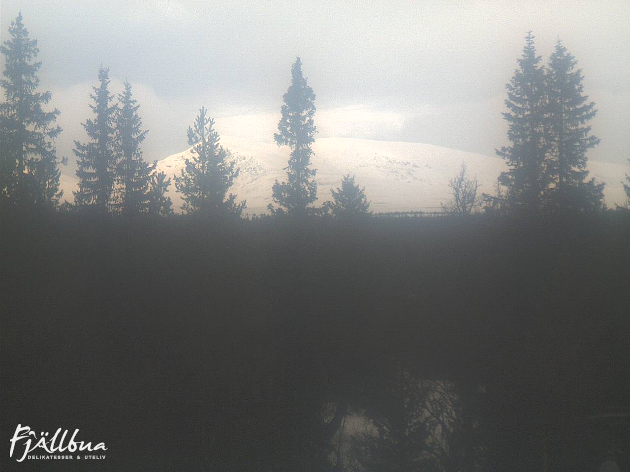 Fjällbua webcam 2025-03-02 13:00