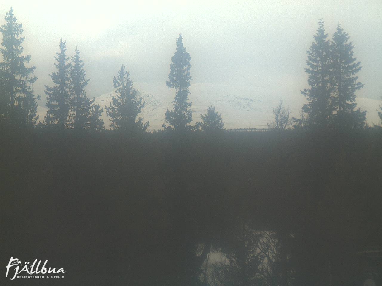 Fjällbua webcam 2025-03-02 15:30