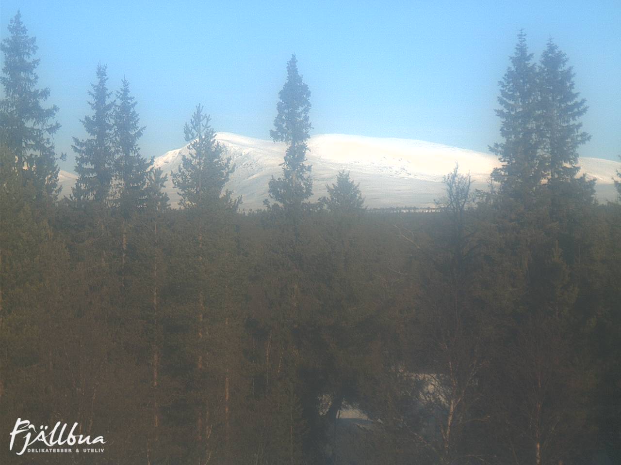 Fjällbua webcam 2025-03-03 09:00