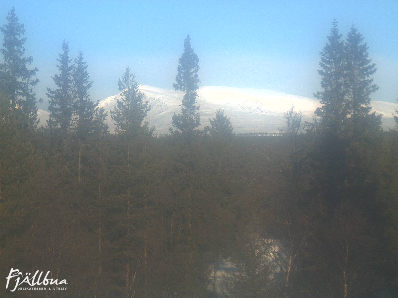 Fjällbua webcam 2025-03-03 09:30