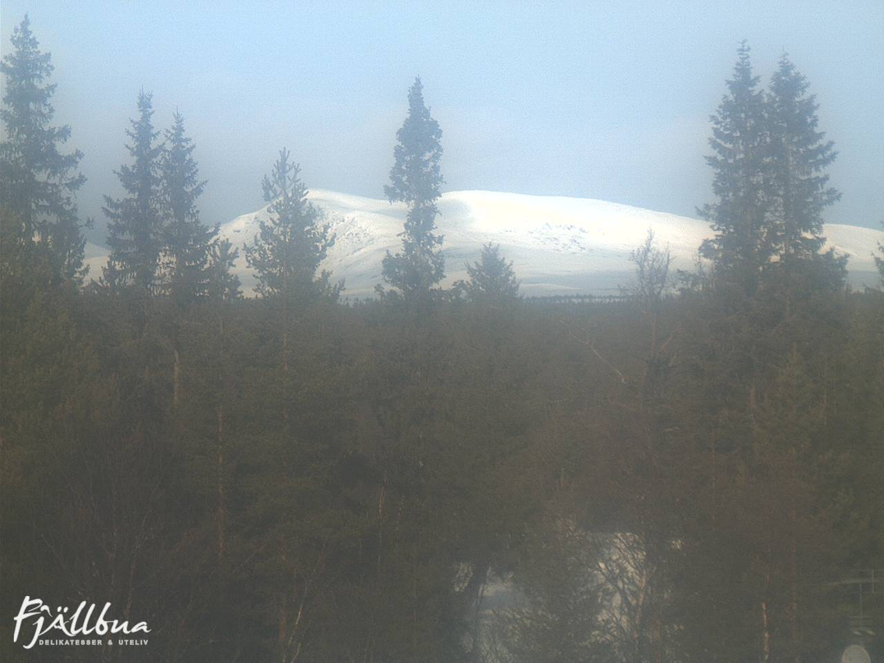 Fjällbua webcam 2025-03-03 10:30