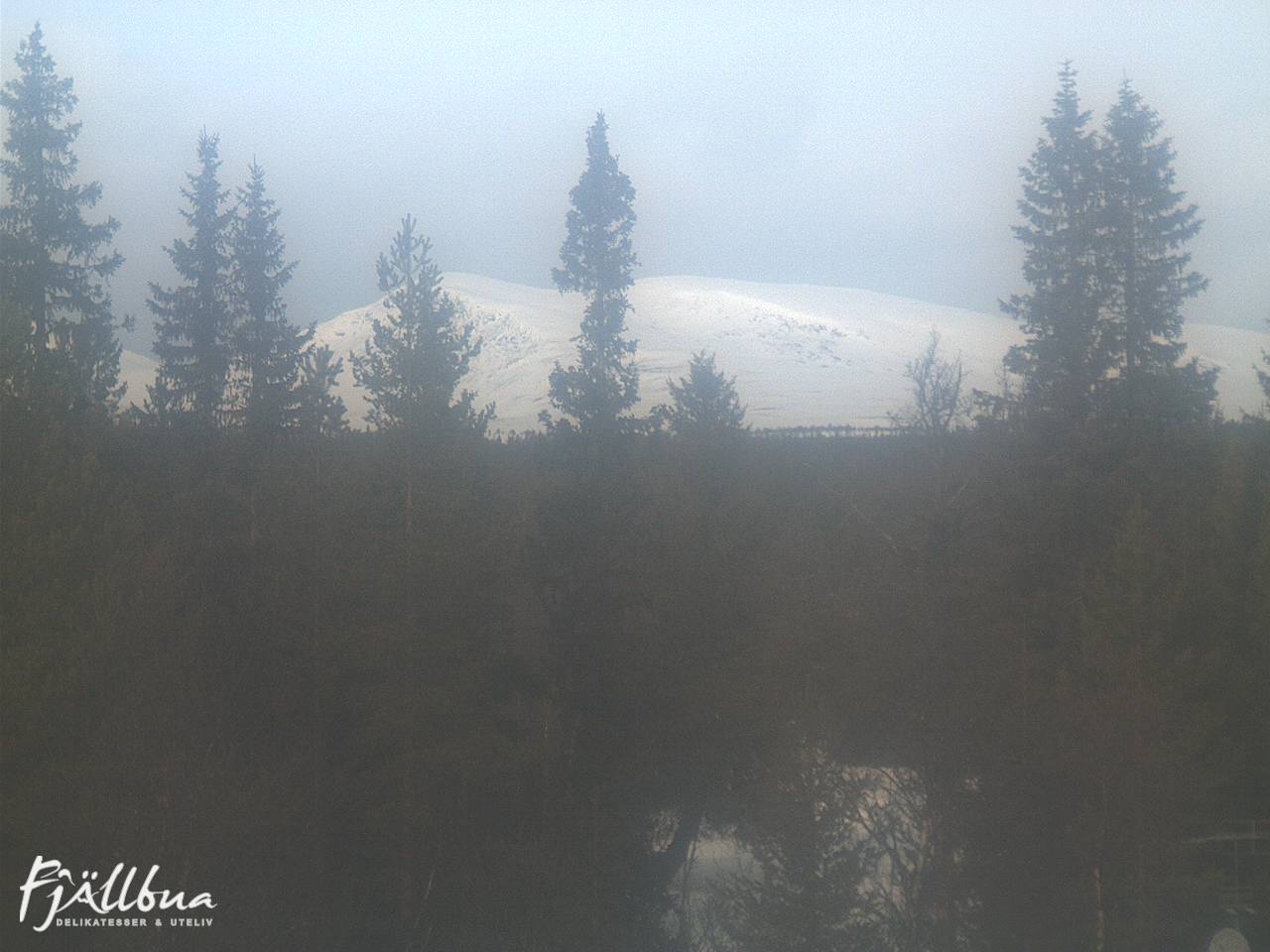 Fjällbua webcam 2025-03-03 11:00