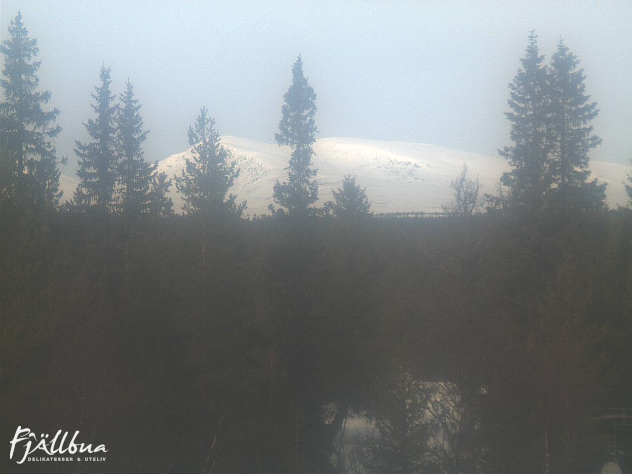 Fjällbua webcam 2025-03-03 11:30