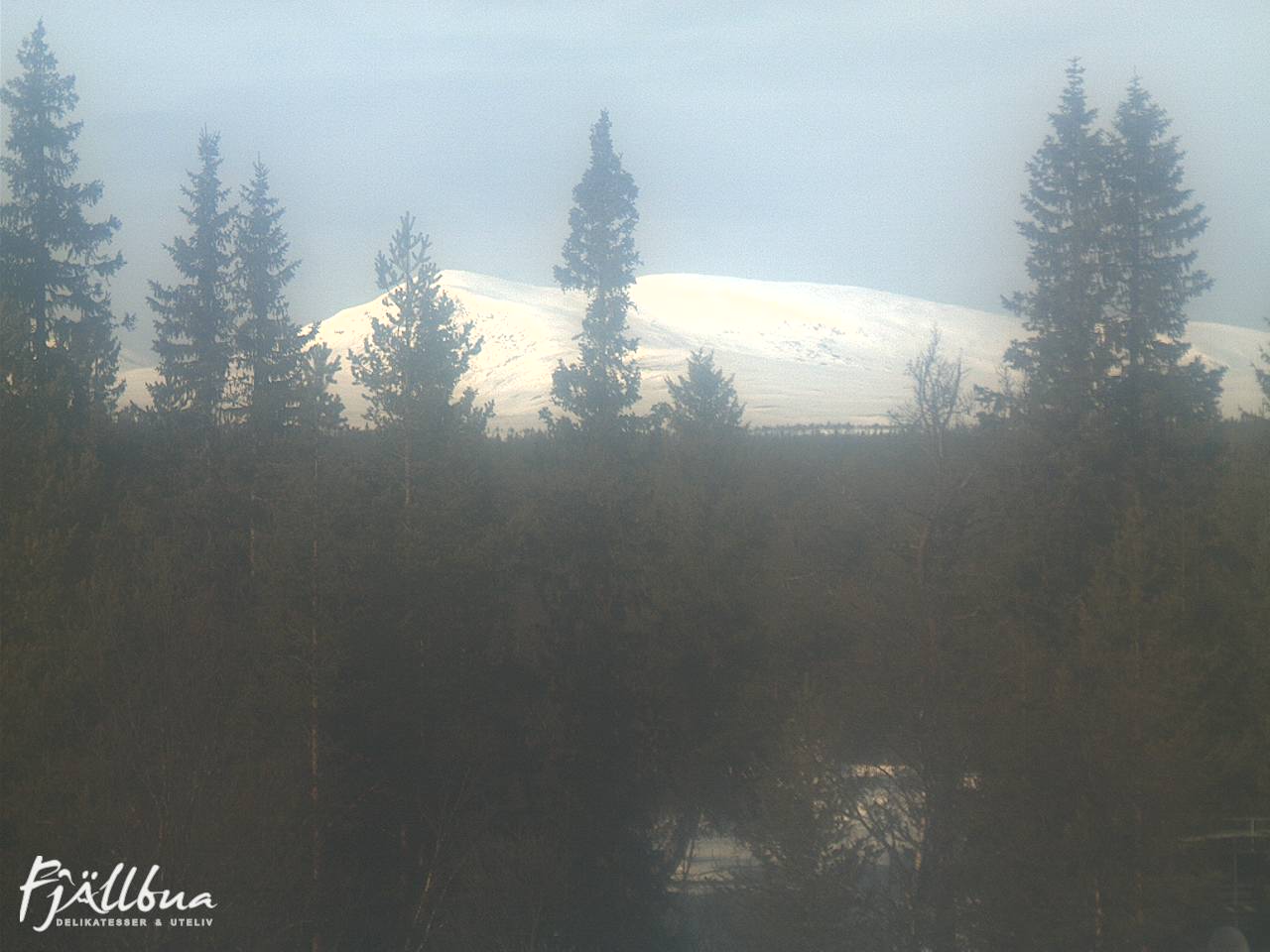 Fjällbua webcam 2025-03-03 12:30