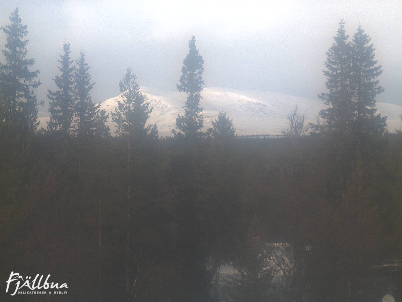 Fjällbua webcam 2025-03-03 13:00