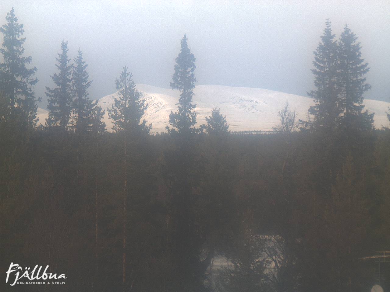 Fjällbua webcam 2025-03-03 13:30