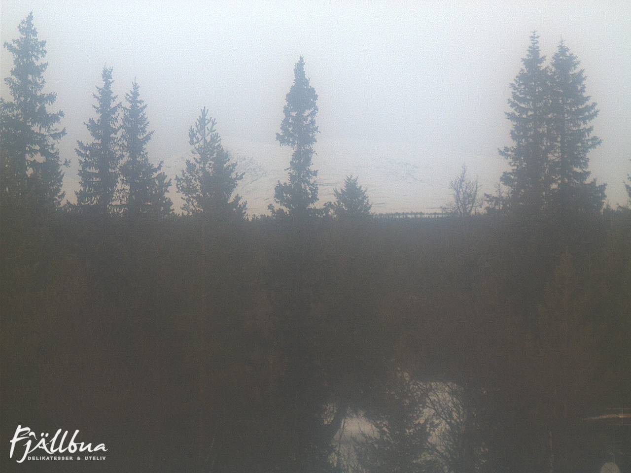 Fjällbua webcam 2025-03-03 14:00