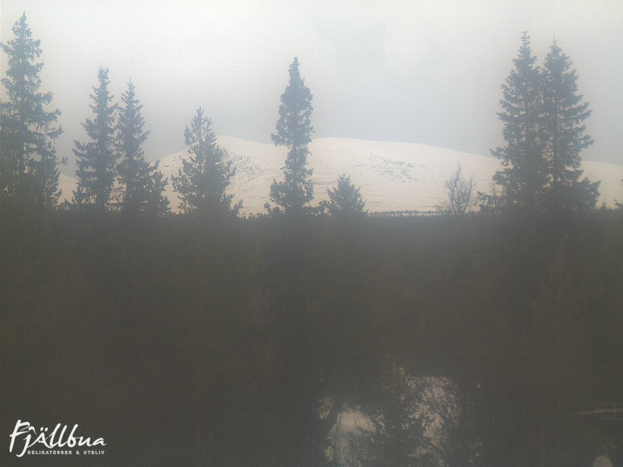 Fjällbua webcam 2025-03-03 14:30