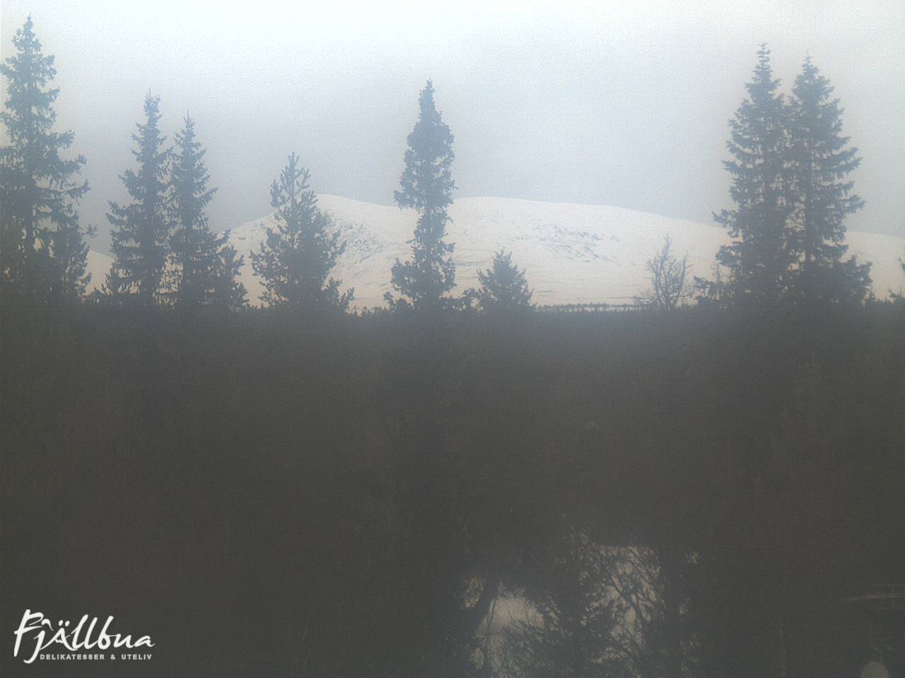 Fjällbua webcam 2025-03-03 15:00