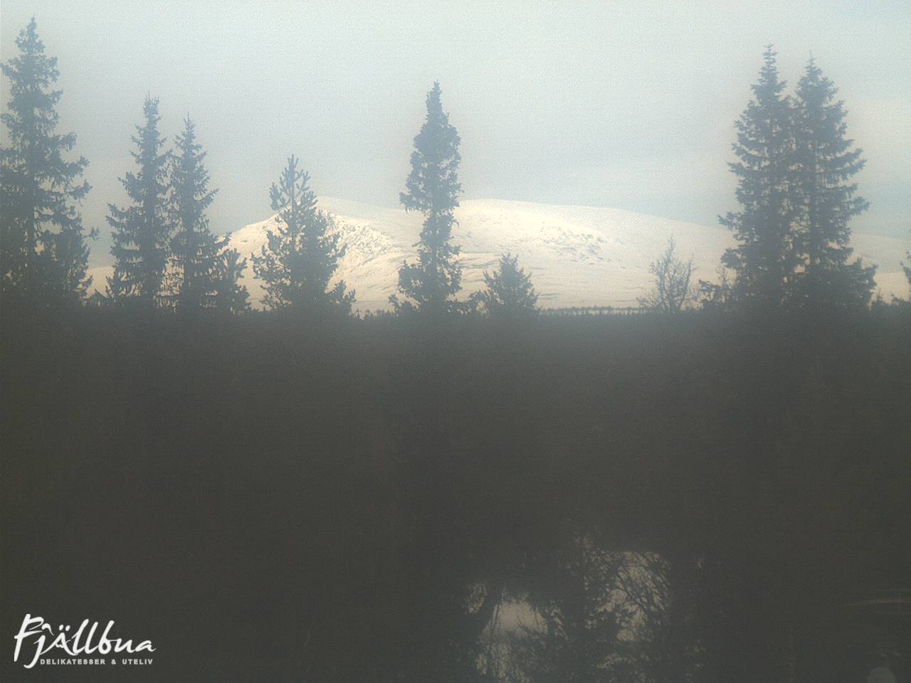 Fjällbua webcam 2025-03-06 13:30