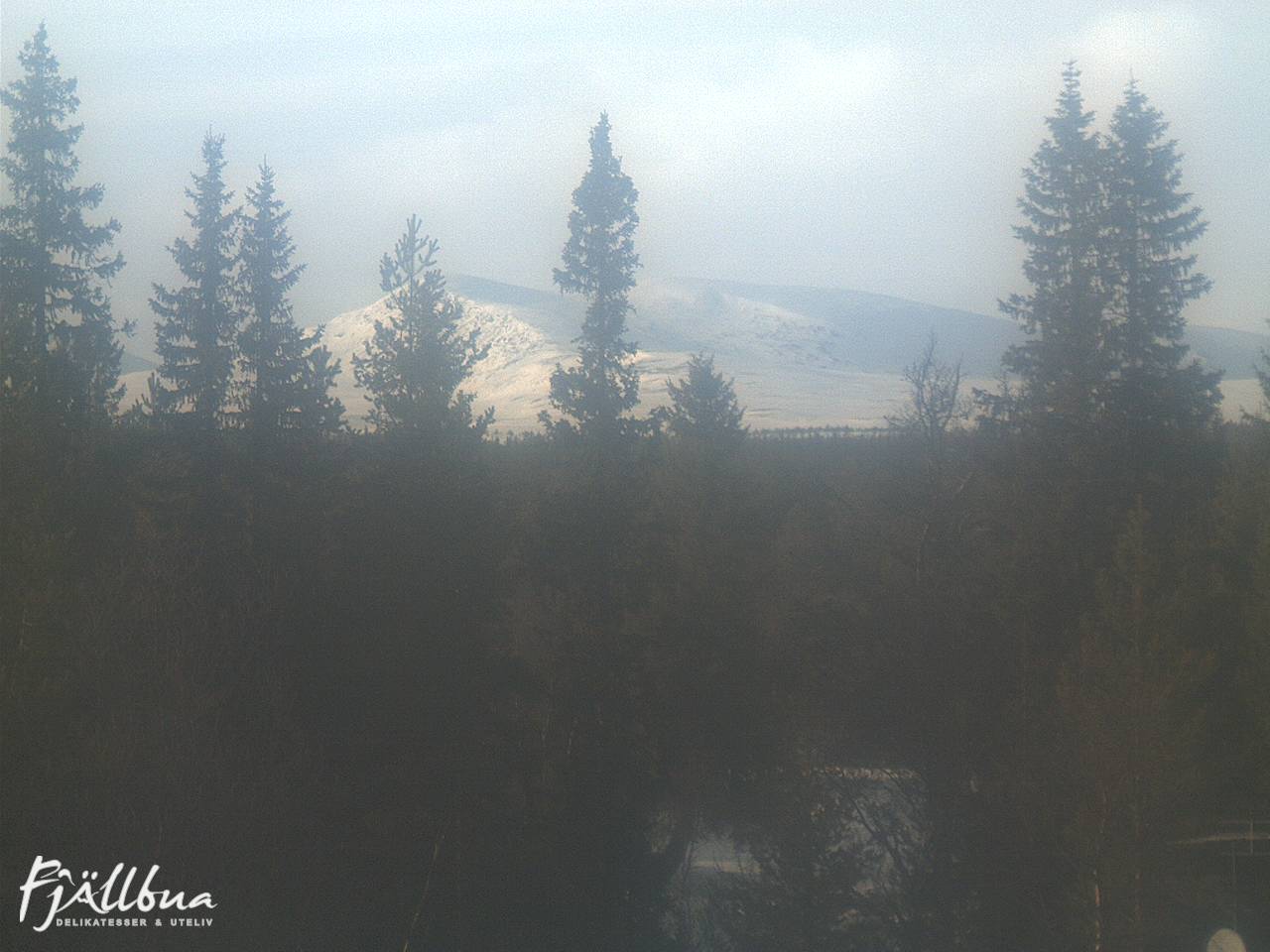 Fjällbua webcam 2025-03-06 15:30