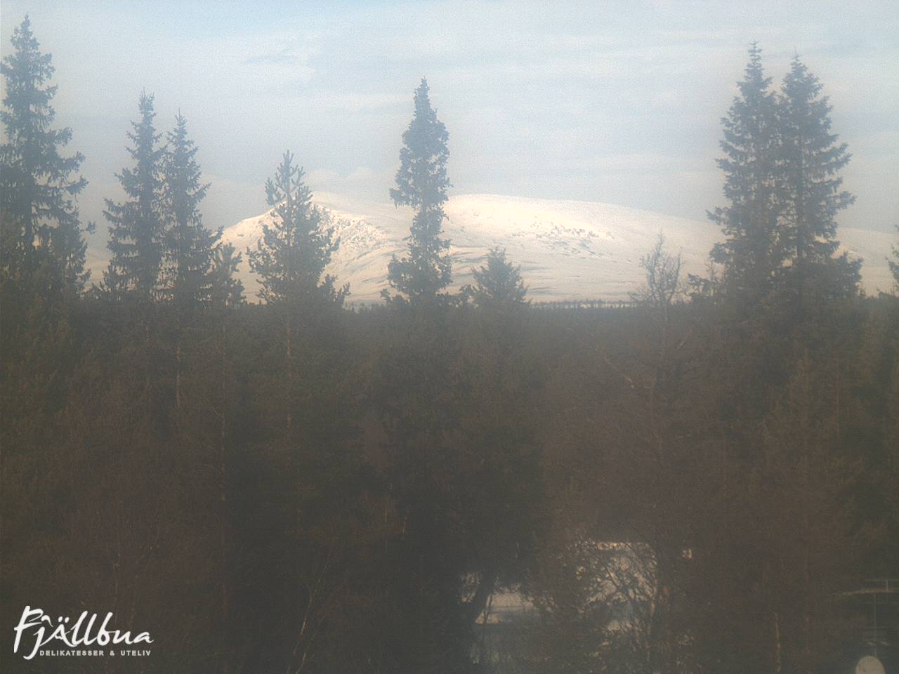 Fjällbua webcam 2025-03-07 12:00