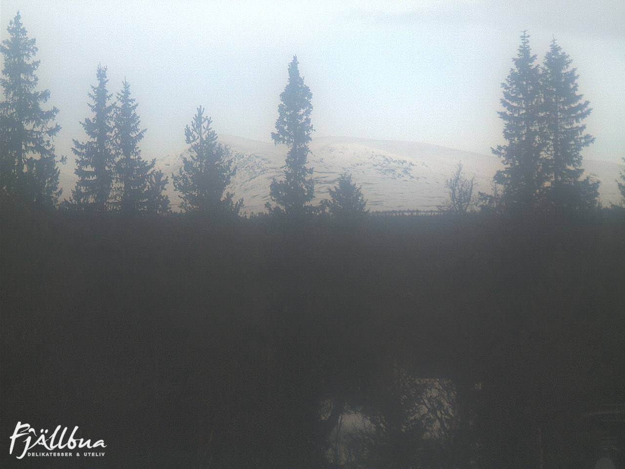 Fjällbua webcam 2025-03-08 10:30