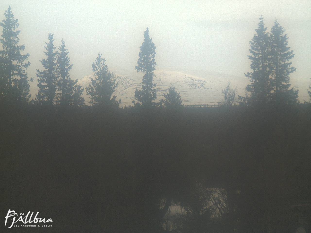 Fjällbua webcam 2025-03-08 11:30