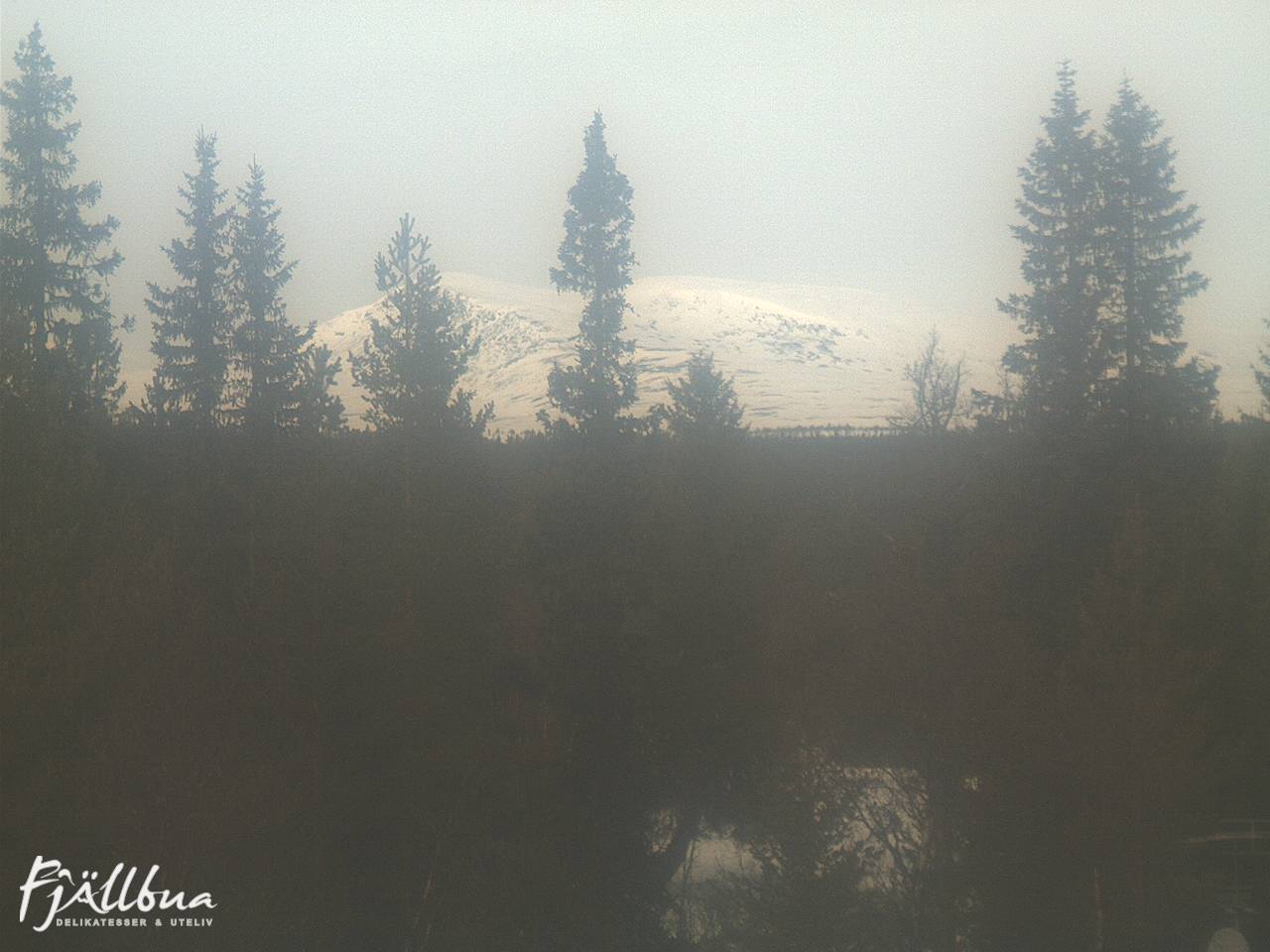 Fjällbua webcam 2025-03-08 12:00