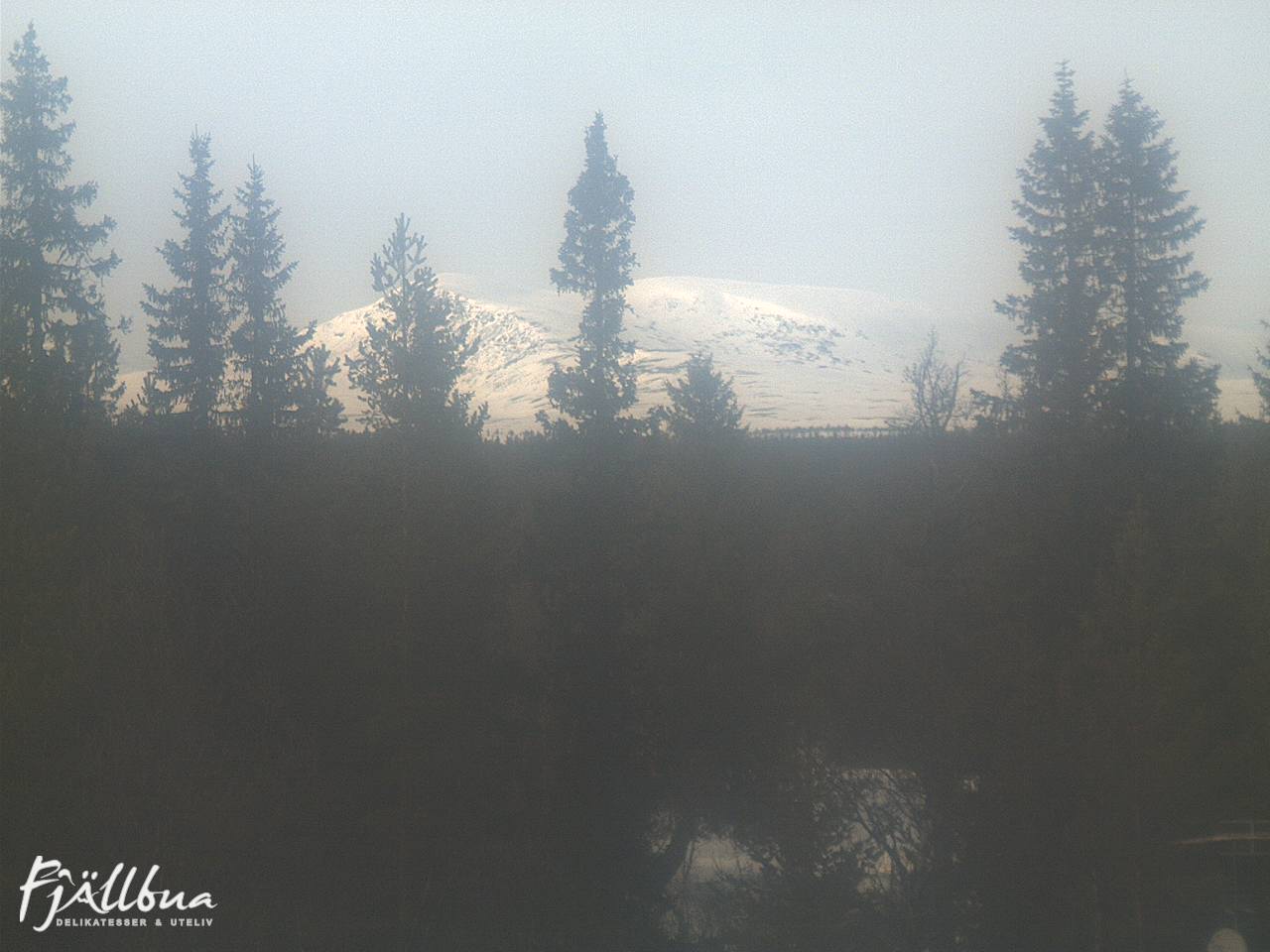 Fjällbua webcam 2025-03-08 14:30