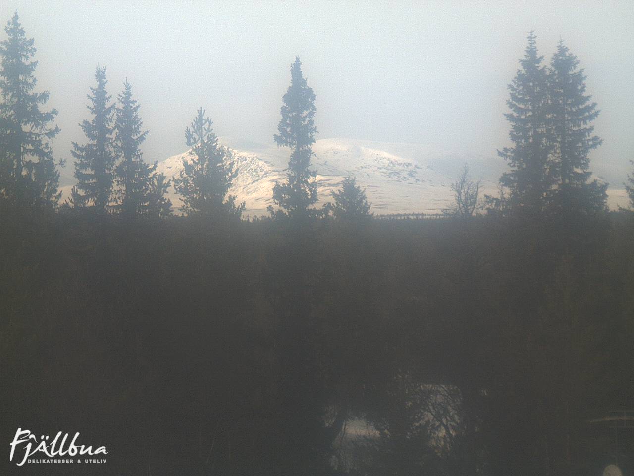 Fjällbua webcam 2025-03-08 15:00