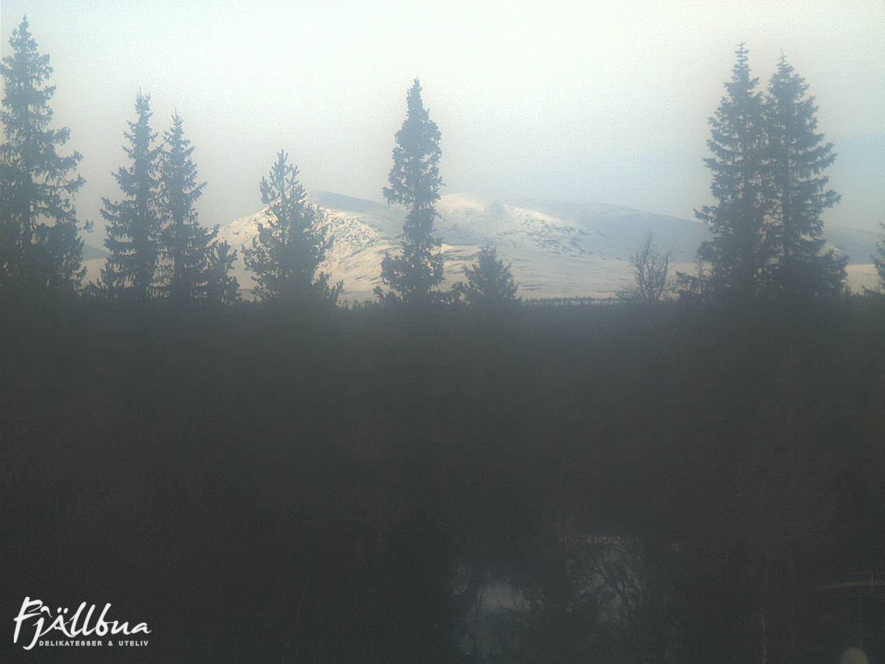 Fjällbua webcam 2025-03-08 15:30