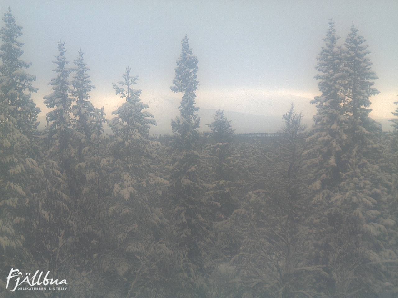 Fjällbua webcam 2025-03-10 14:30