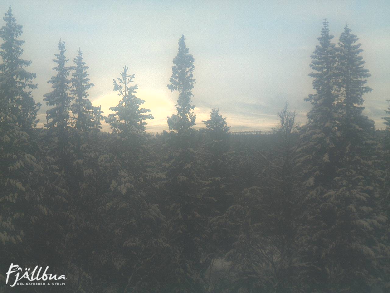 Fjällbua webcam 2025-03-12 15:00