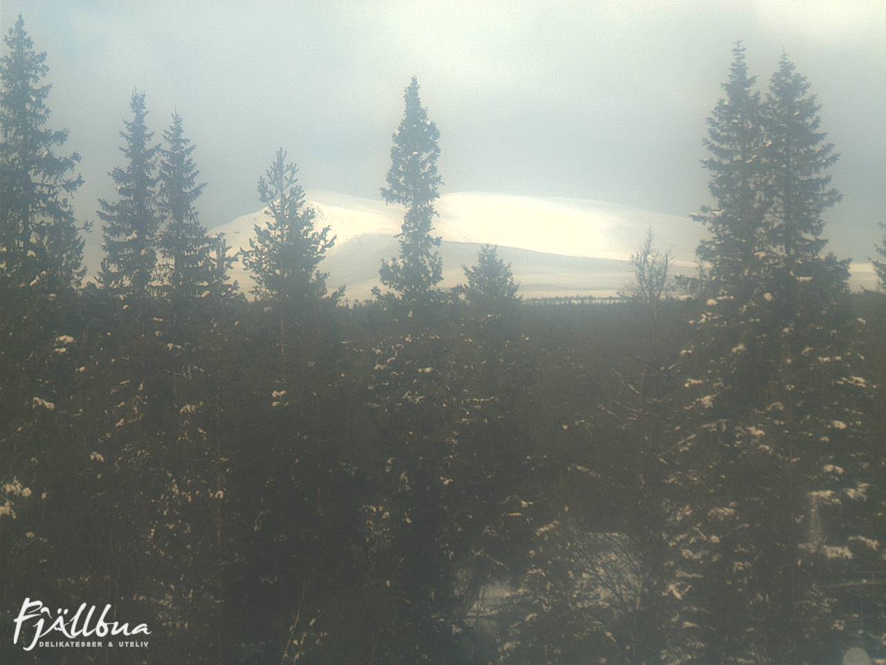 Fjällbua webcam 2025-03-14 12:30