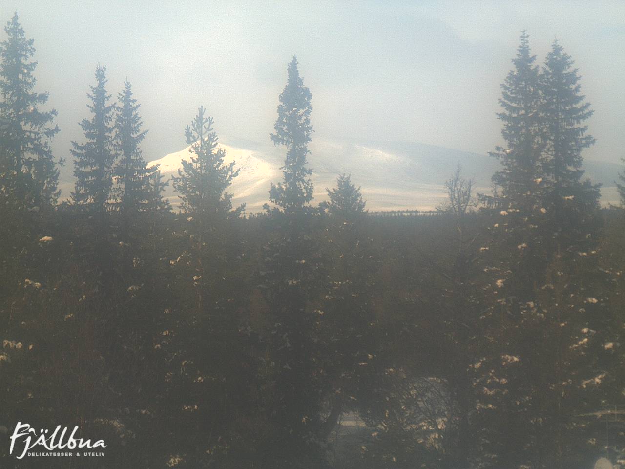 Fjällbua webcam 2025-03-14 14:30