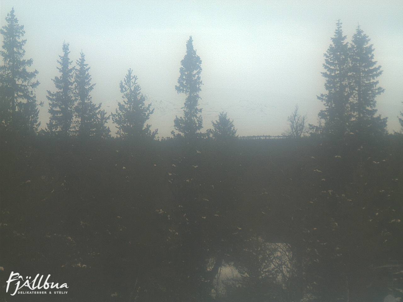 Fjällbua webcam 2025-03-15 12:00