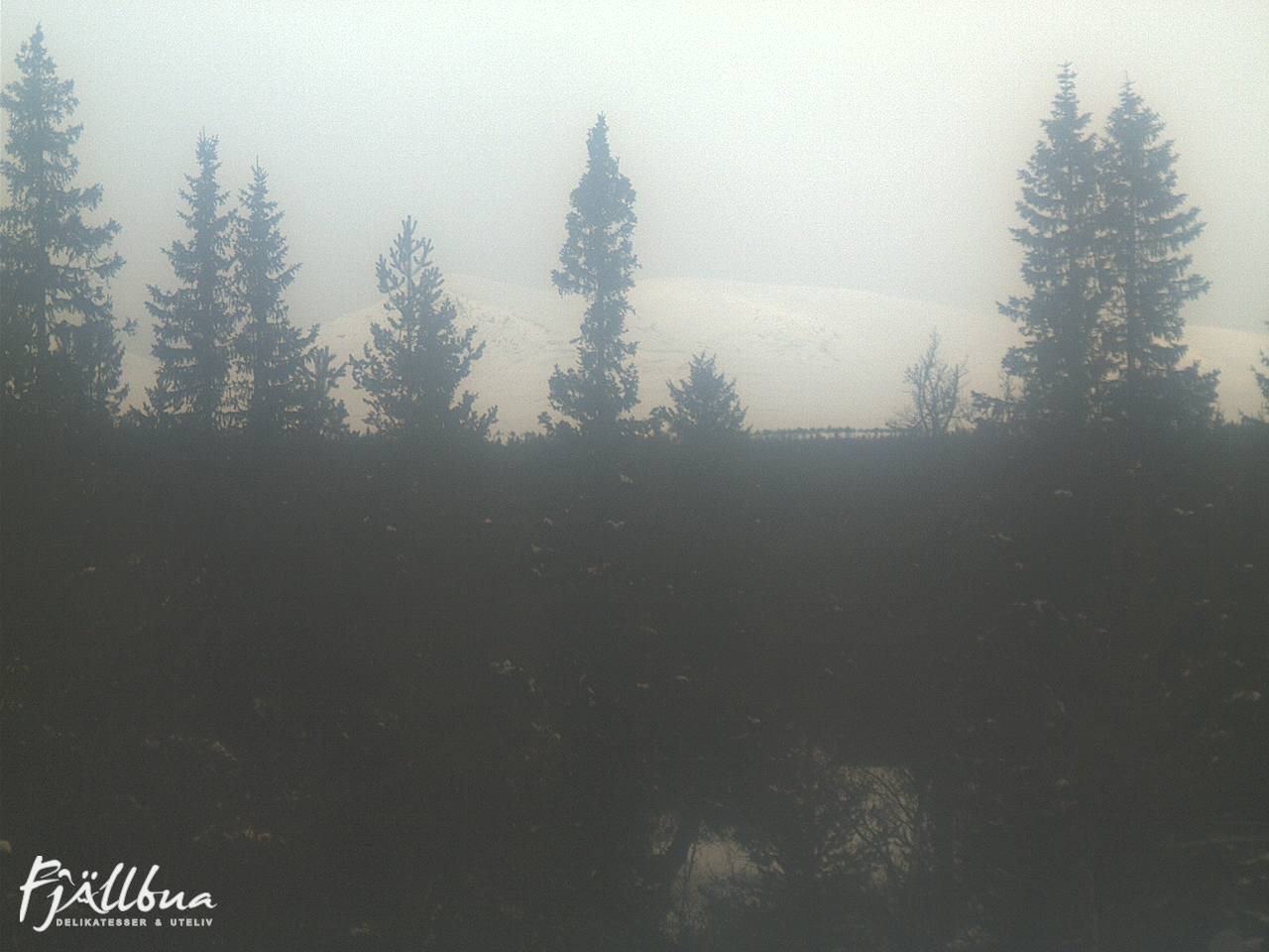 Fjällbua webcam 2025-03-15 13:30