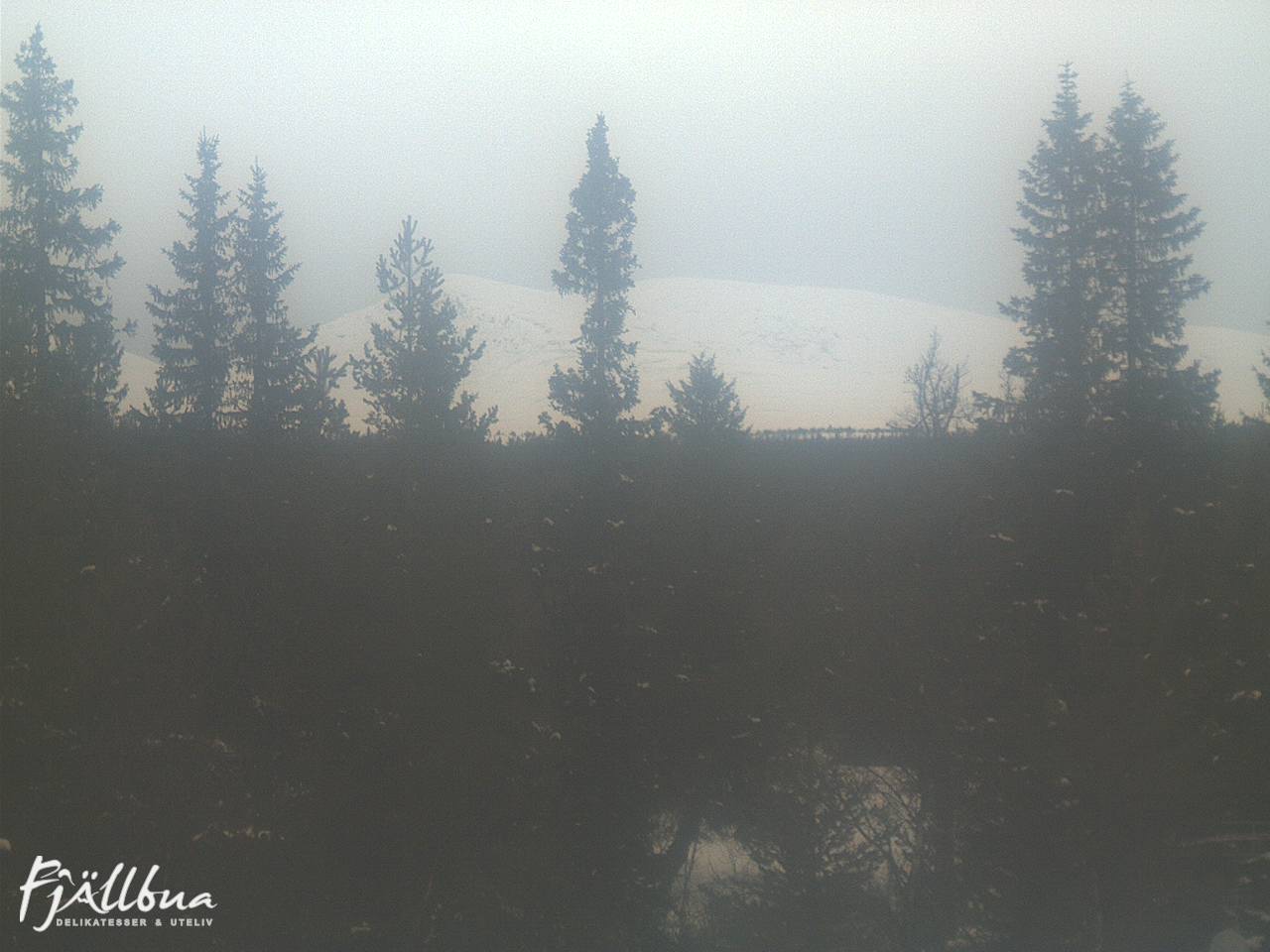 Fjällbua webcam 2025-03-15 14:30