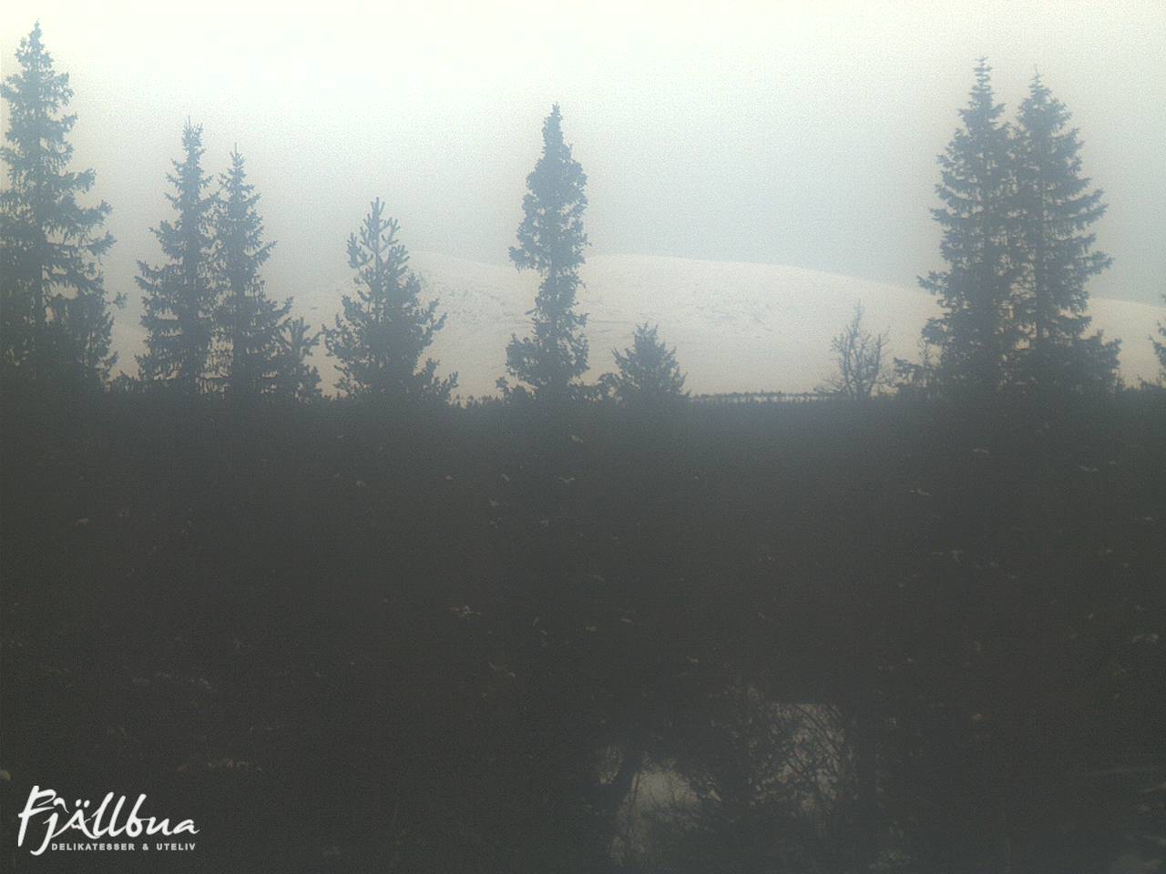 Fjällbua webcam 2025-03-15 15:00