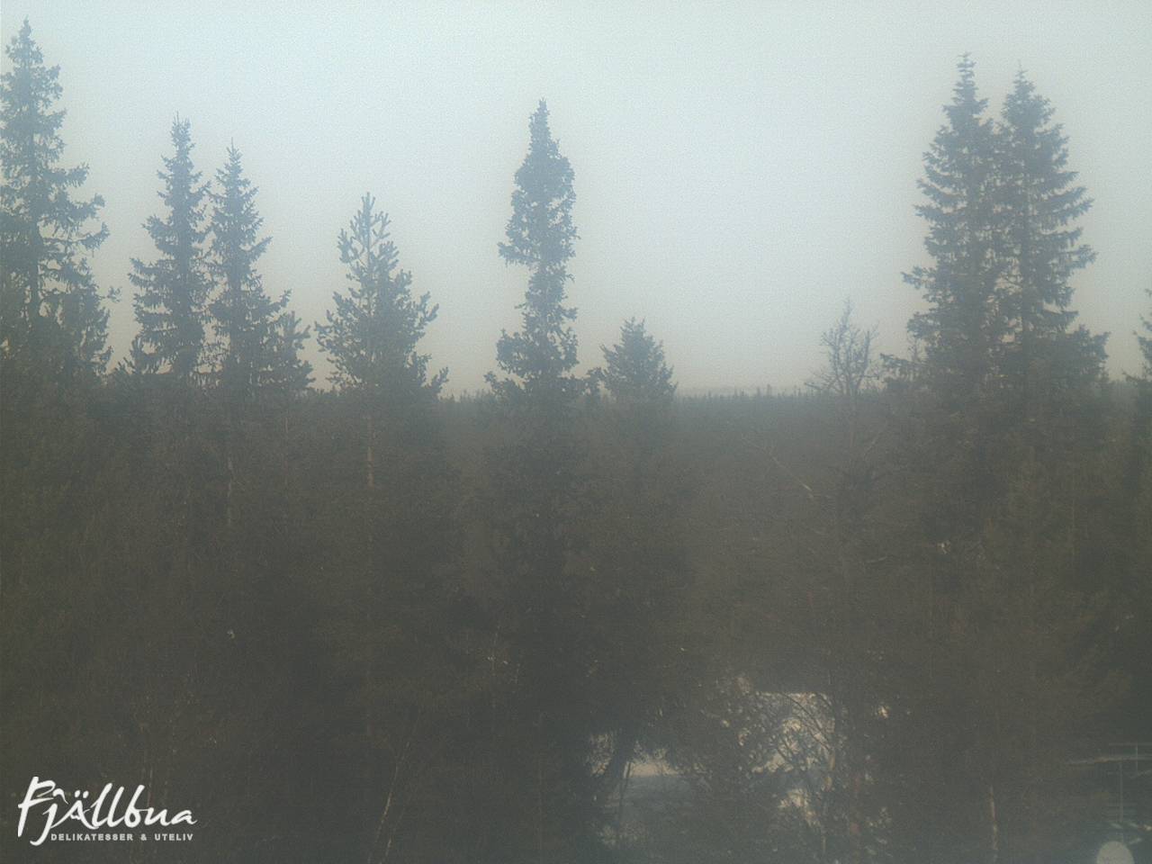 Fjällbua webcam 2025-03-16 11:30