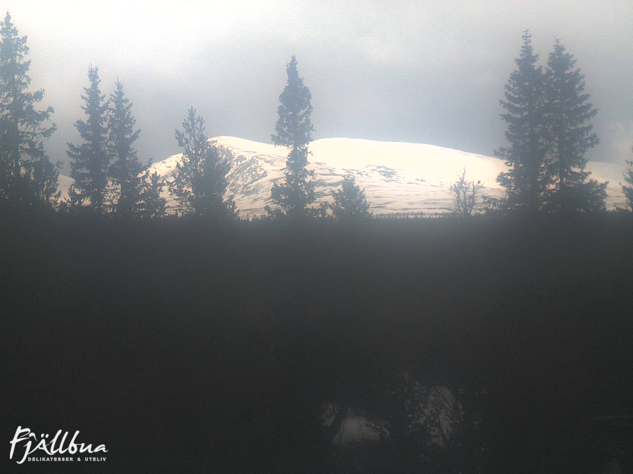 Fjällbua webcam 2025-04-05 11:00
