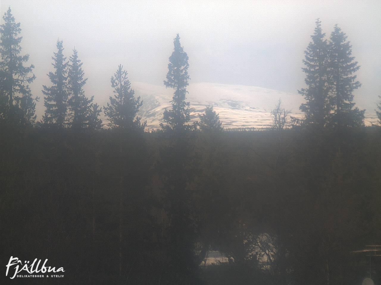 Fjällbua webcam 2025-04-09 14:30