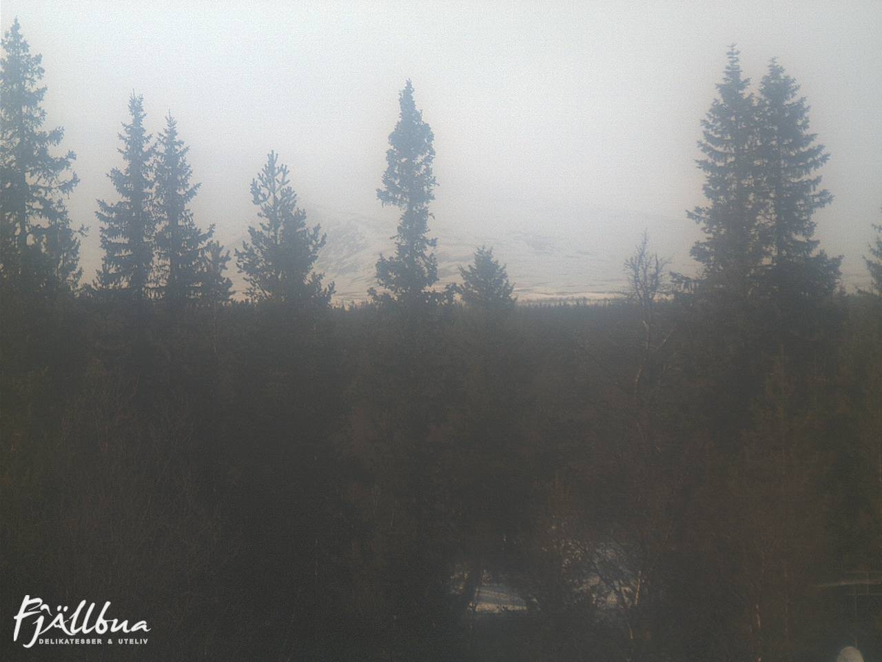 Fjällbua webcam 2025-04-09 16:30