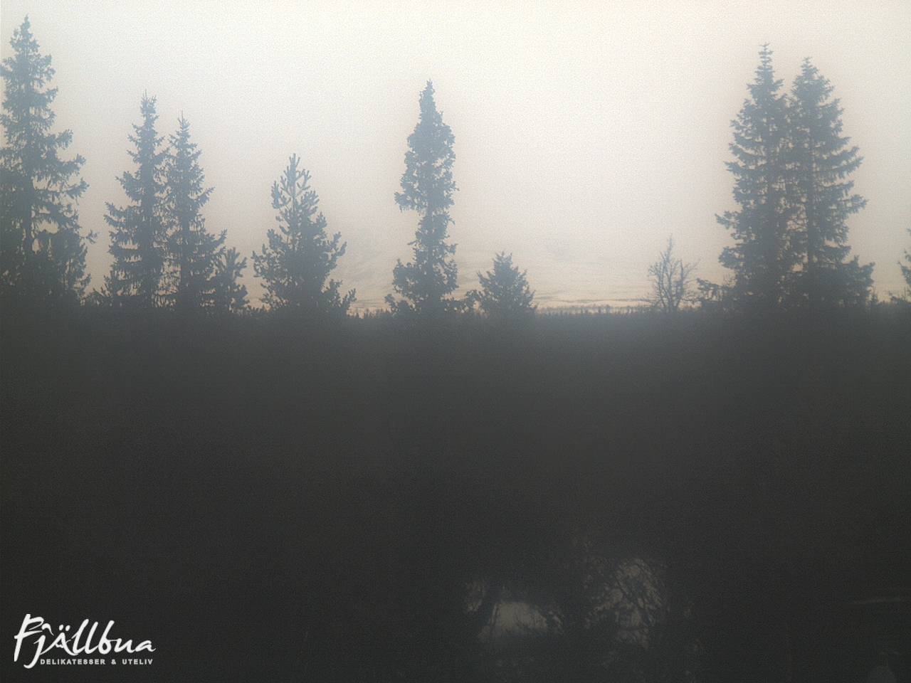 Fjällbua webcam 2025-04-10 10:30