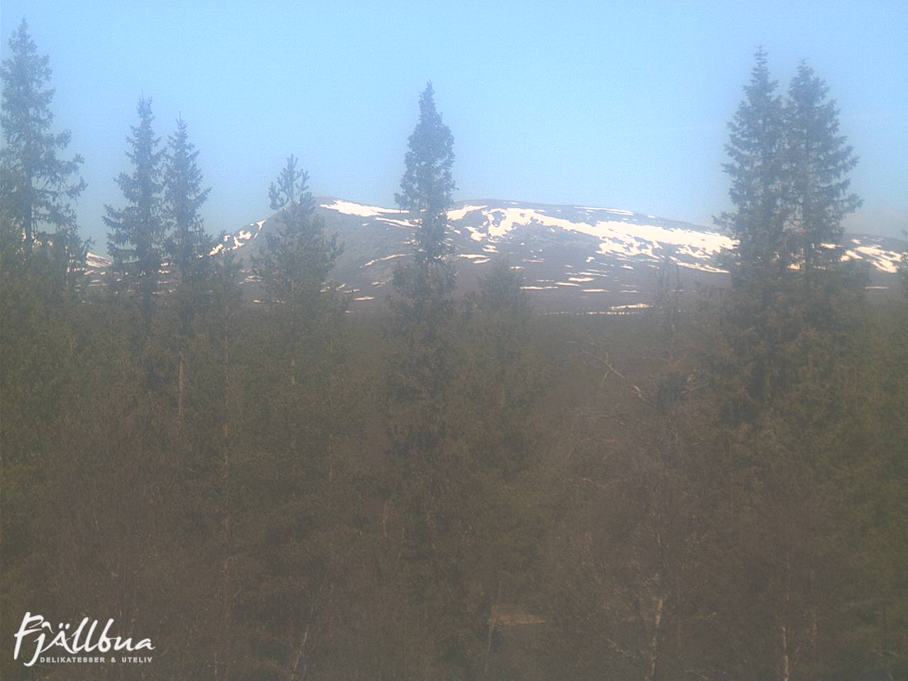 Fjällbua webcam 2025-05-17 11:00