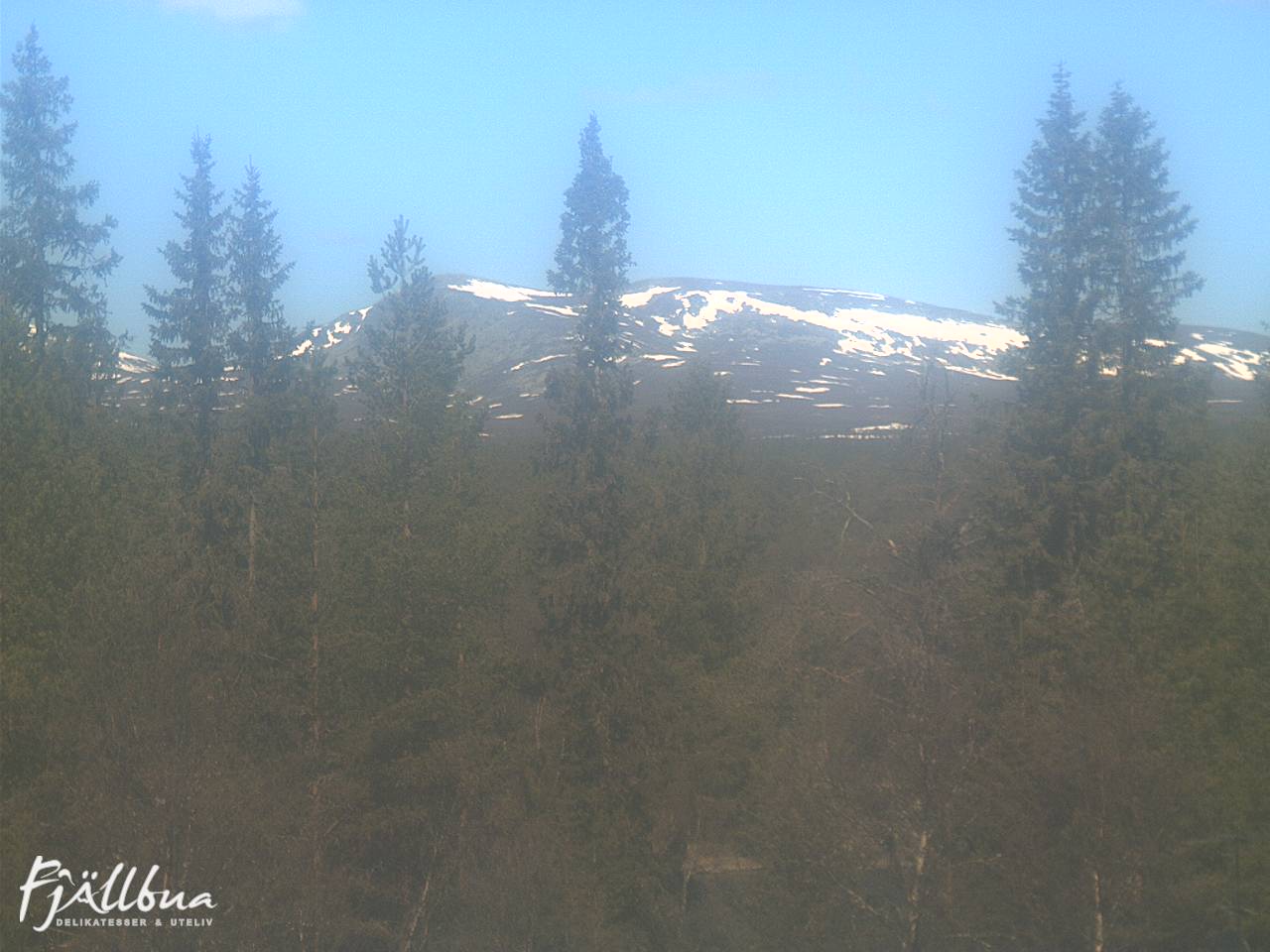 Fjällbua webcam 2025-05-18 11:00
