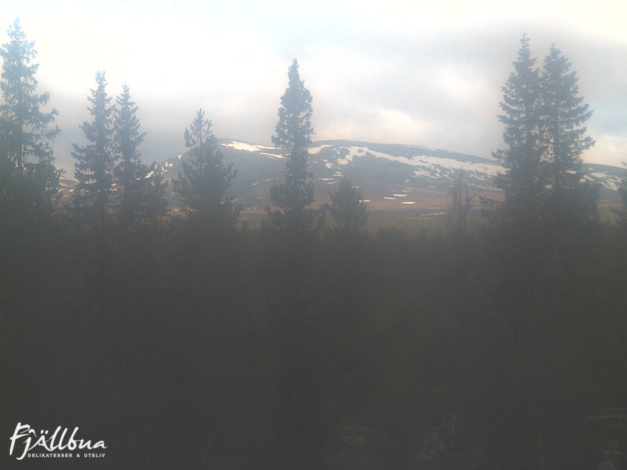 Fjällbua webcam 2025-05-21 08:30