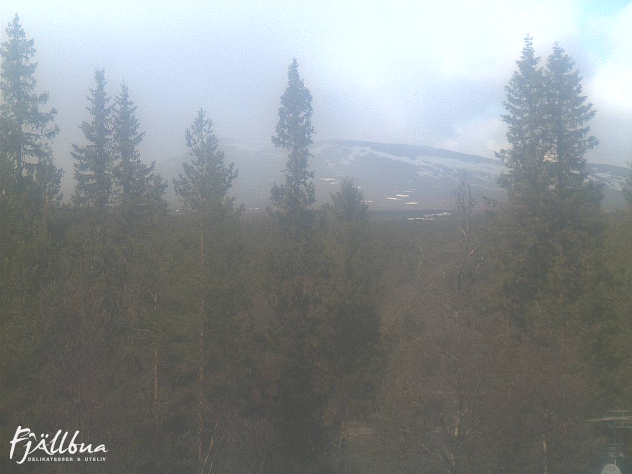 Fjällbua webcam 2025-05-21 13:30
